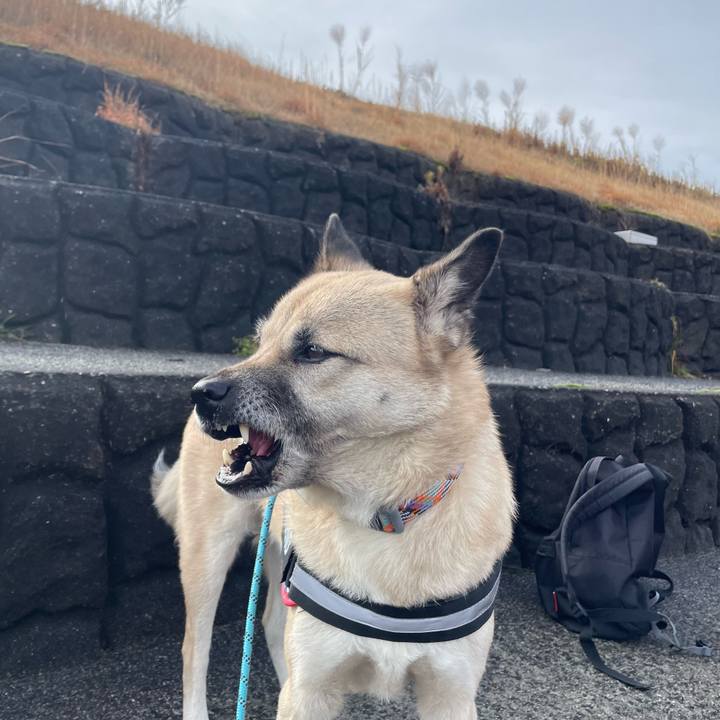 A5f9ae21 cb43 4f4c ab15 3872cb20d57e 1707051501844