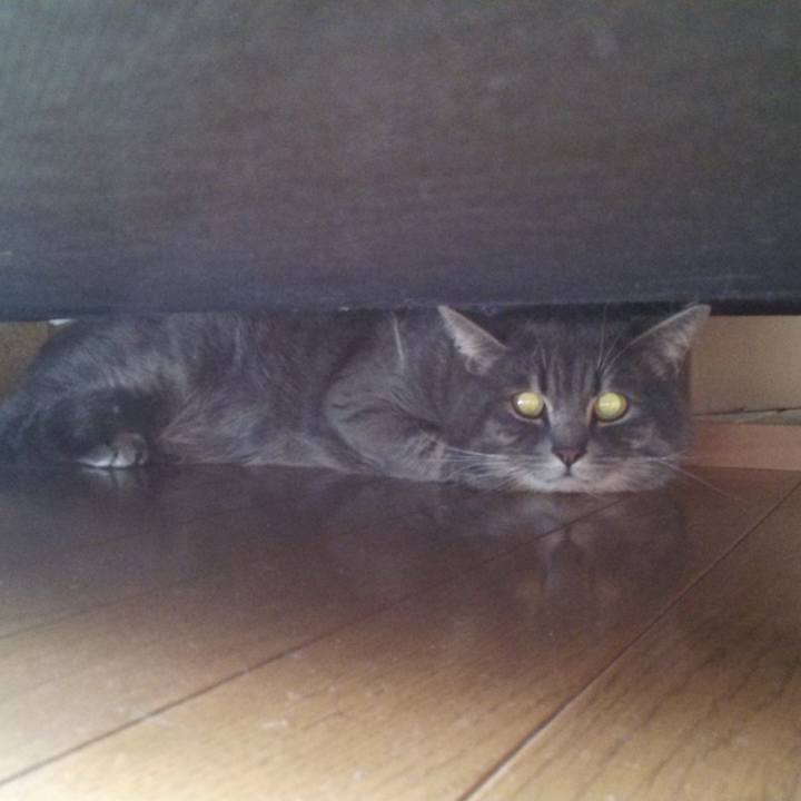 A5f9afc1 07a0 433d baa2 a89f530b5439 1515597292394