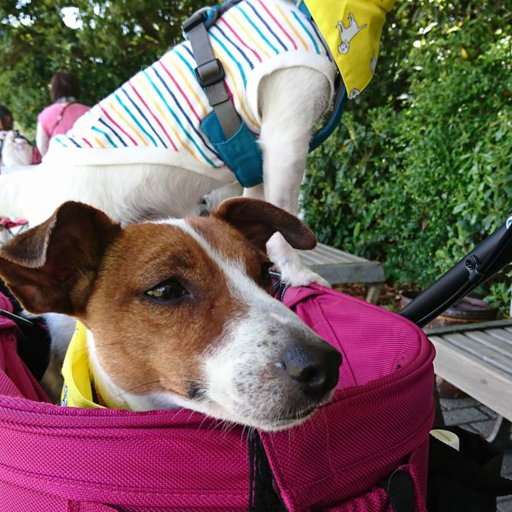 A5f9f049 2622 49fa af09 7eb29a3e8716 1556940724761