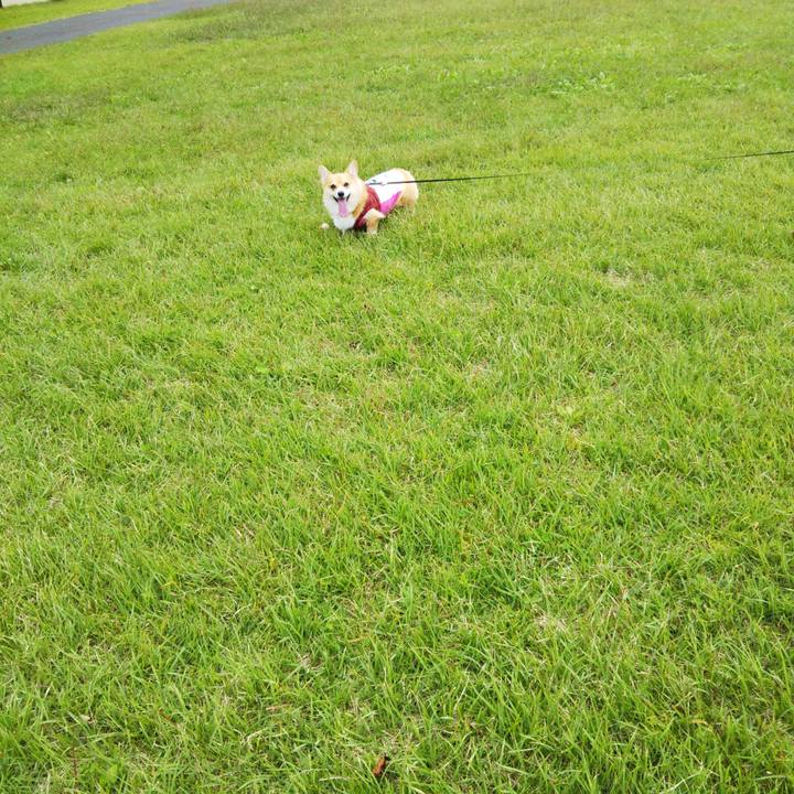 A5fa0ebe 889b 42ff a020 51fc4c21ec3c 1569678547420