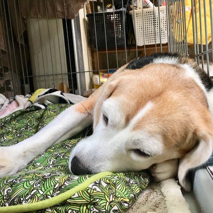 A5fa38ae 53bf 4499 8ab3 baa456ab263e 1560484141638