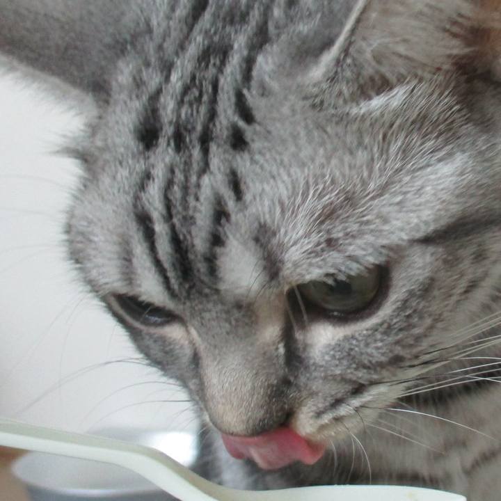 A5fa412d 6dfd 4f4e aa5f 7e42c074f01c 1565447173800