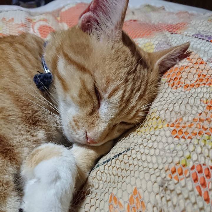 A5fa5417 28af 43ba 9529 b03931fc4253 1562250923786