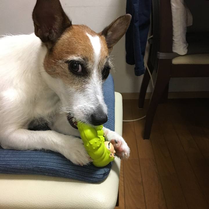 A5fa5ce4 b4bc 46ab 977b 2ef33536ddcf 1560228104380