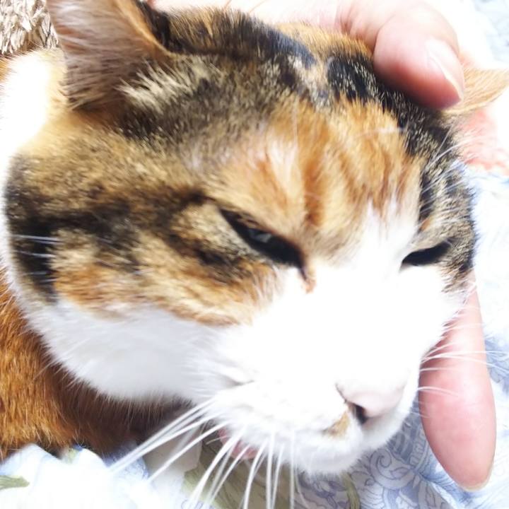 A5fa60fd 98b3 4ed8 8a82 679e23e696b6 1578952292183