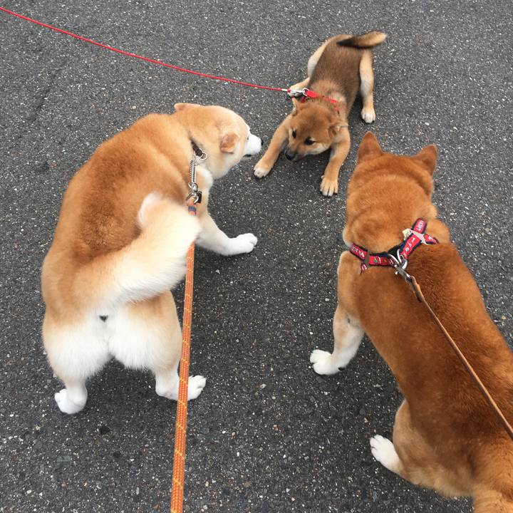 A5fa7a5a bccd 4c37 96ec a27b1f576944 1529808051540