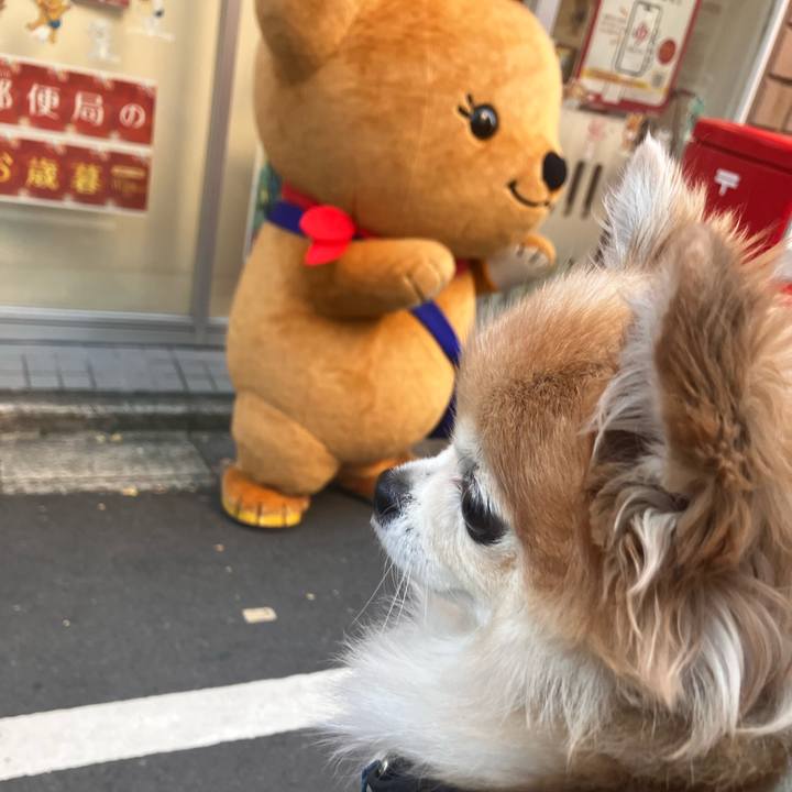 A5fa86de 7b96 4b51 b9f3 c87304c10c8e 1764688879535