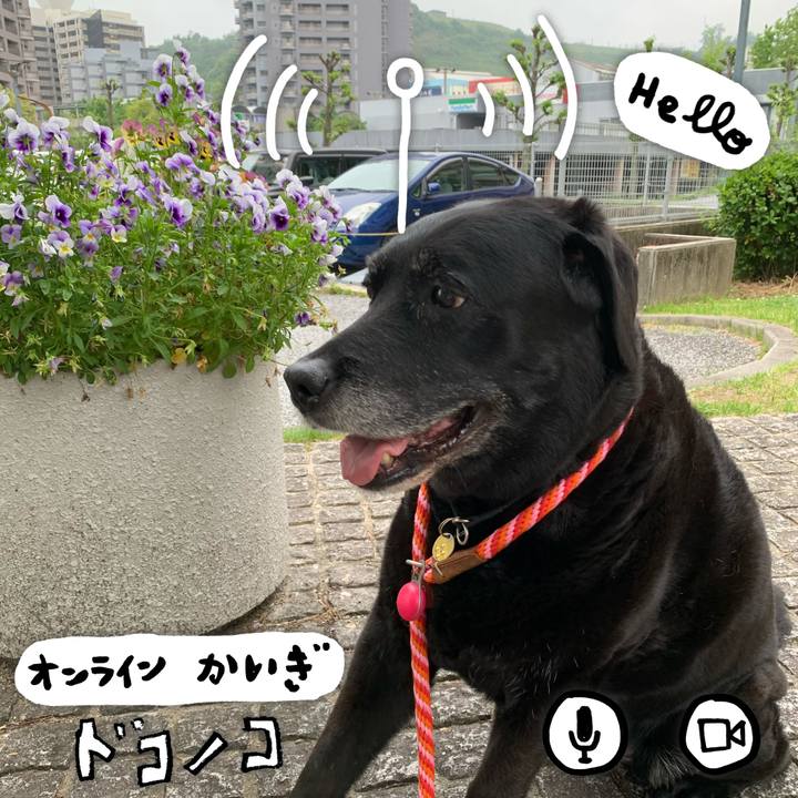 A5fb6352 07fc 4616 9be4 3e05e73ddd4e 1590721771882