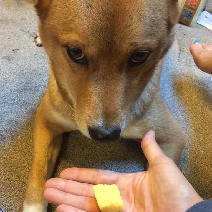 A5fb82d9 6f04 48d9 a1ad 738b073de569 1543132562043