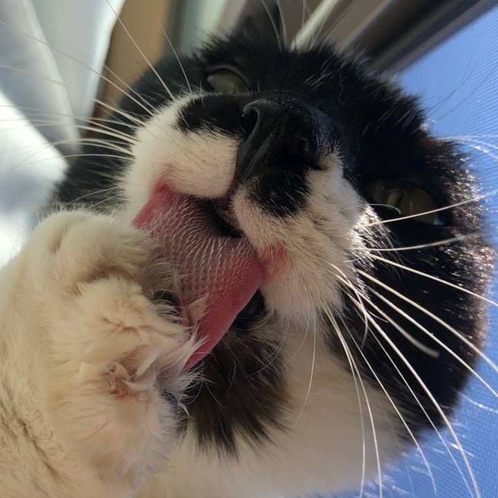 A5fb8518 ae53 41db ae3c f850d9c884ed 1612582986352