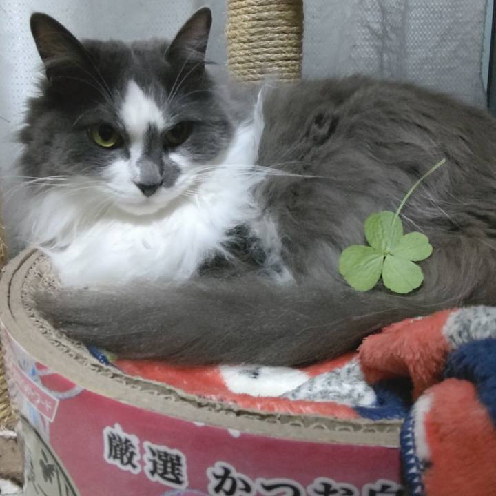 A5fb9393 1153 44ba acf4 78875a959f15 1621417689089