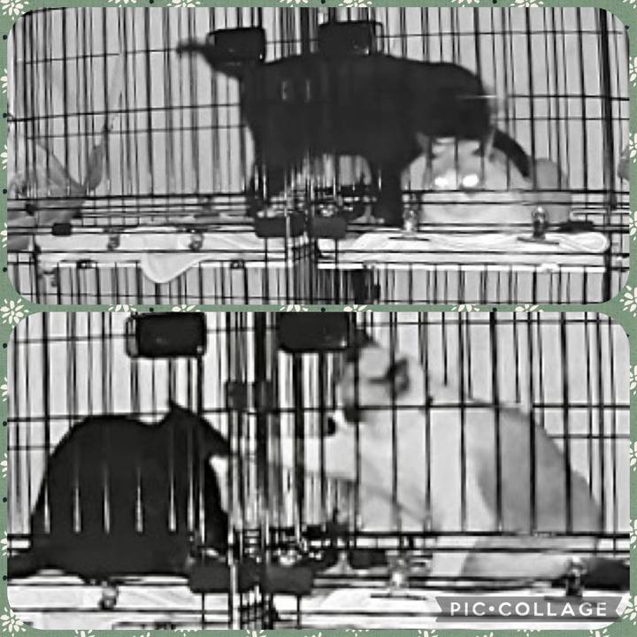 A5fbc518 5bf2 4390 bb76 803d1c07002c 1731953551429