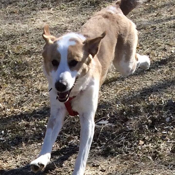 A5fbdb1a d9cb 40c6 8cd9 bd30808c0f64 1518360067879