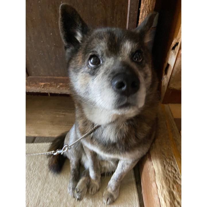 A5fc022d ad7c 4f0f 9131 a0536d78b2dc 1682226469963