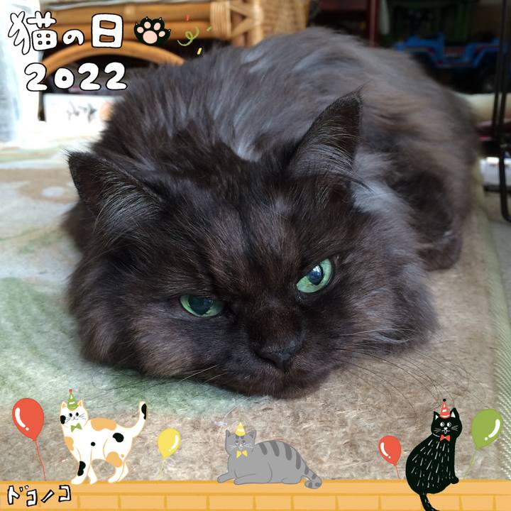 A5fc1892 182c 493b 8d90 ed43d6b4938f 1645488411787