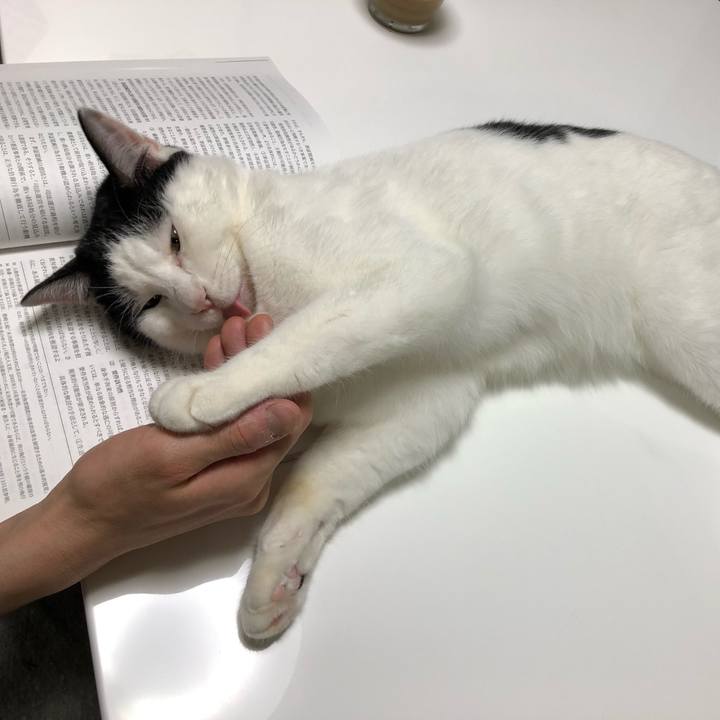 A5fc2d80 815b 4000 85fa 2ee198938d7e 1556725711336