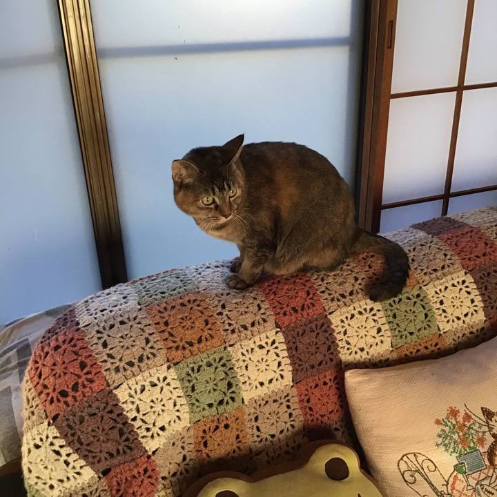 A5fc3605 7f01 431b 8657 fc7f73686dfa 1642752641579