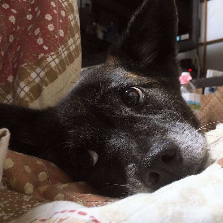 A5fc6b7f d4a6 47db 9d5b c7cf98140efa 1552746568746