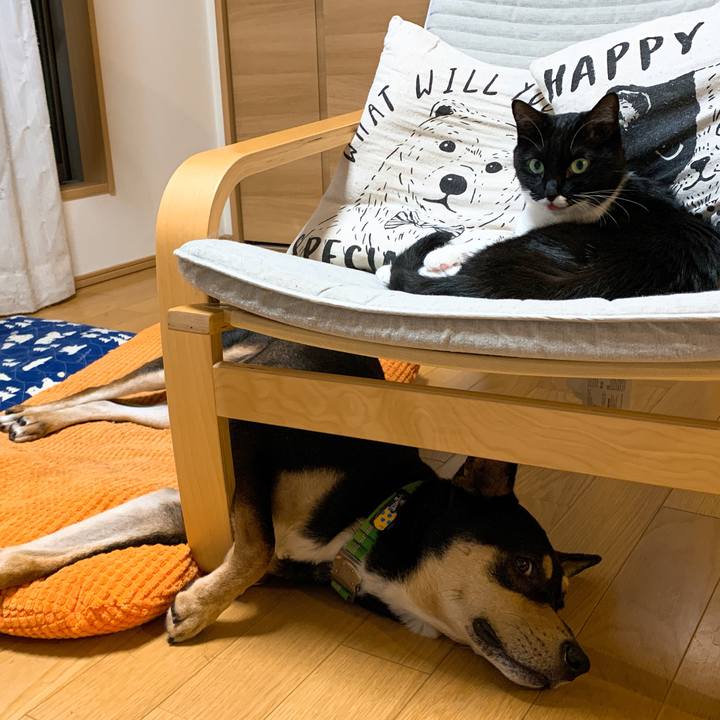 A5fc72a8 8a5e 4a25 bae2 8e65a0668a05 1572221278160