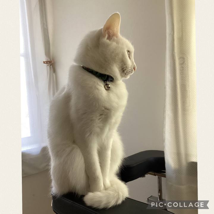 A5fcb347 6b4a 4984 8d0d d15563b0d662 1671412605829