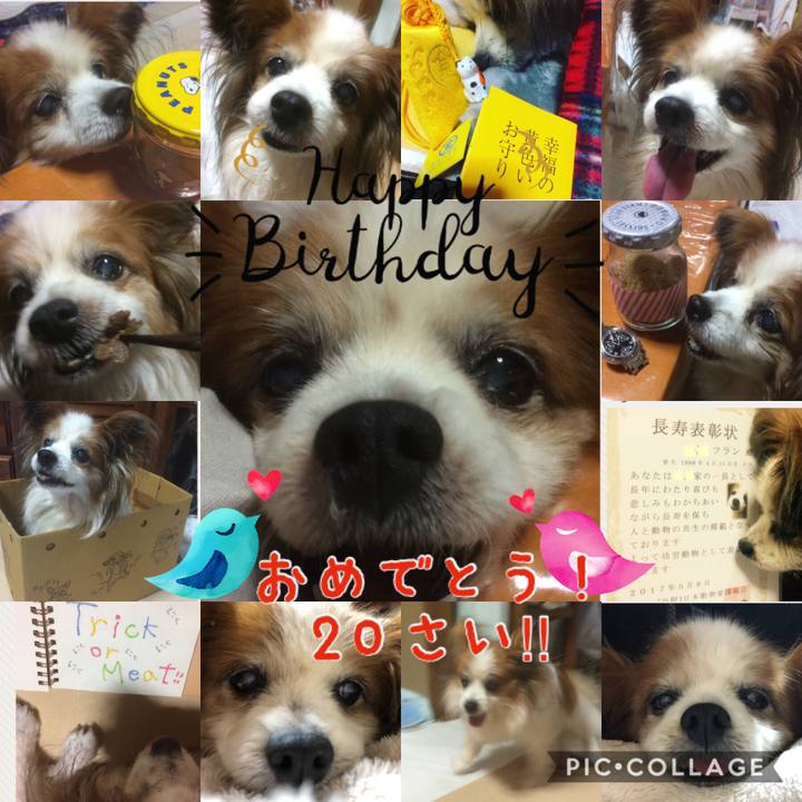 A5fcbdea ae9f 4187 8364 8e9f039d8a08 1523377375533