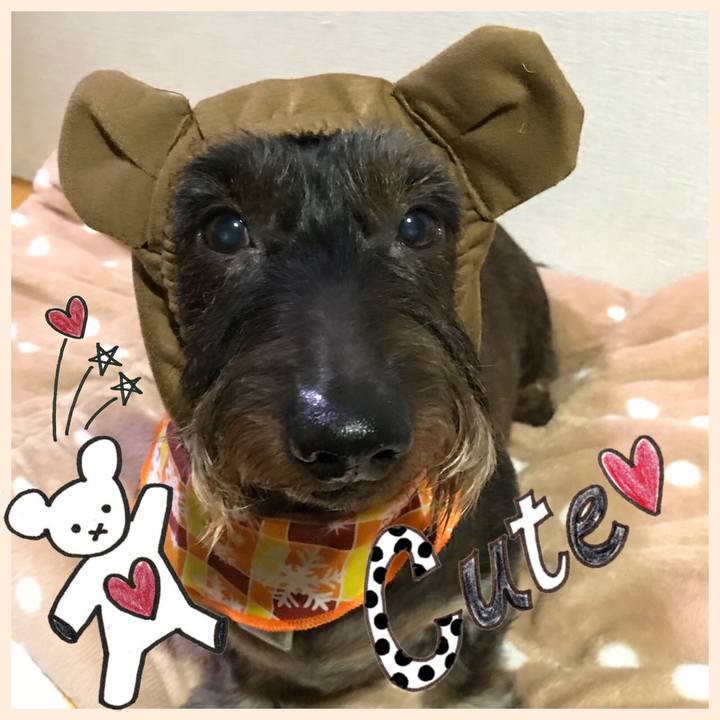 A5fcc66d b112 4c91 82f6 5970dd6a8b4c 1510927380286