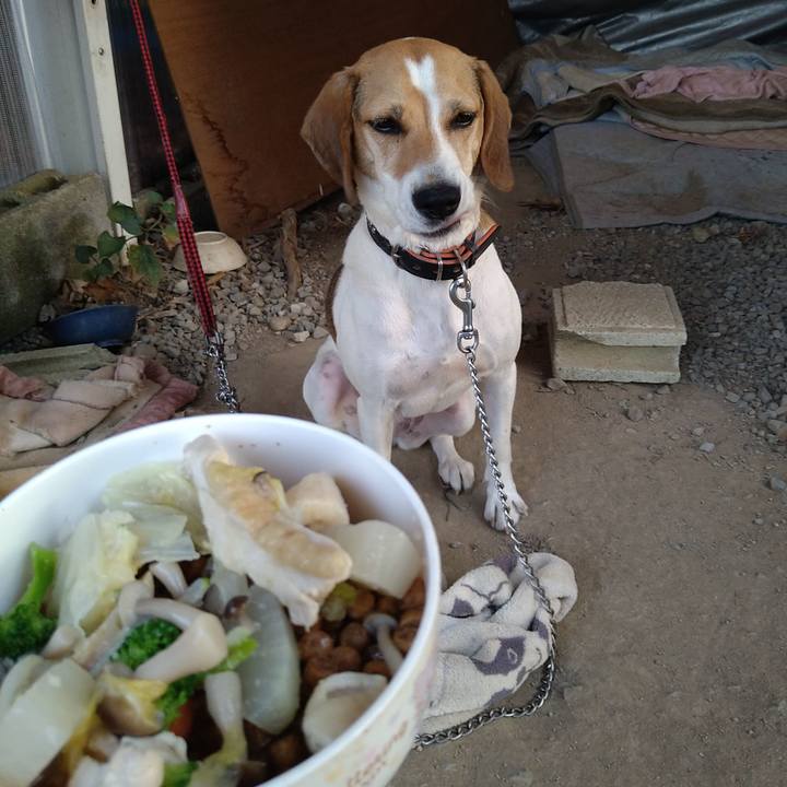 A5fcd3a0 8bbc 49c6 b5e9 796cc03d1003 1634285777569