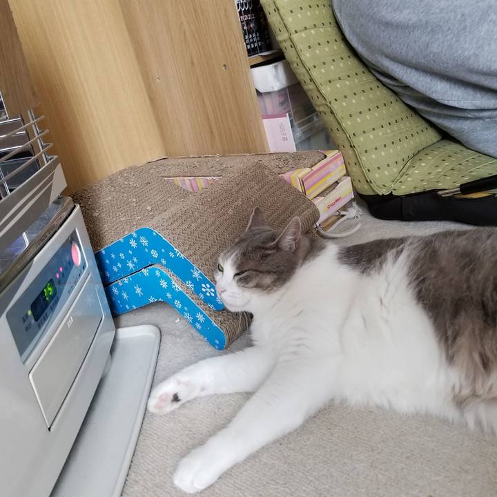 A5fcd3c8 16b1 4660 8d77 395cd7d38683 1622443782444