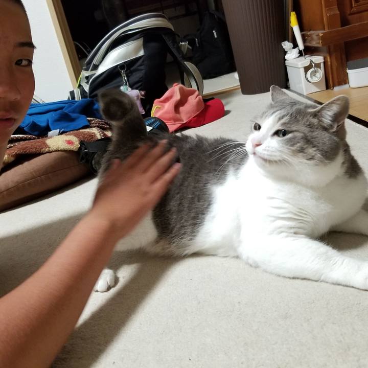 A5fce162 1b51 47e3 b5fe 92ce10ee83d5 1596881425369