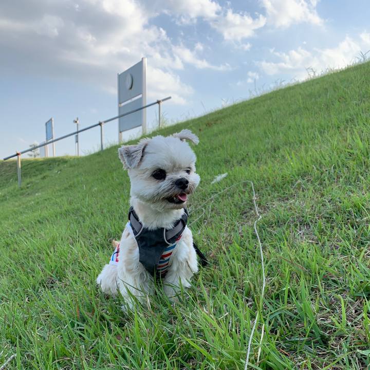 A5fcfdf7 9daf 4d08 8263 2d39eb11255a 1589376982663