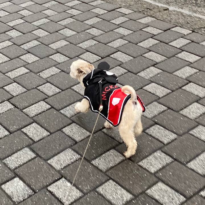 A5fd0fc2 ffa7 482e b0bd a80966a48267 1589621270337