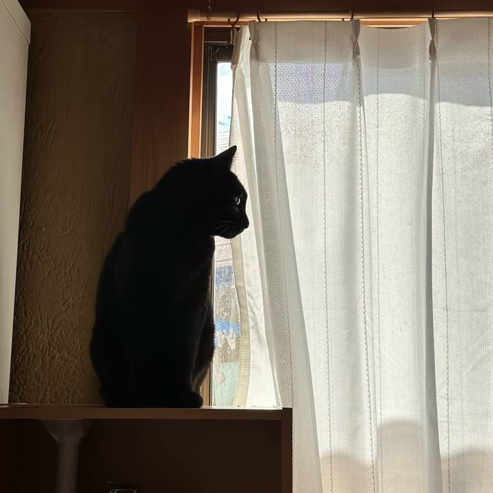 A5fd235d 35f1 4555 8bf1 7c0eb21a609f 1675649340447