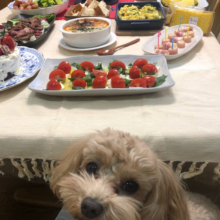 A5fd2493 1e54 462f 923a fed0c9e5869f 1640552166599