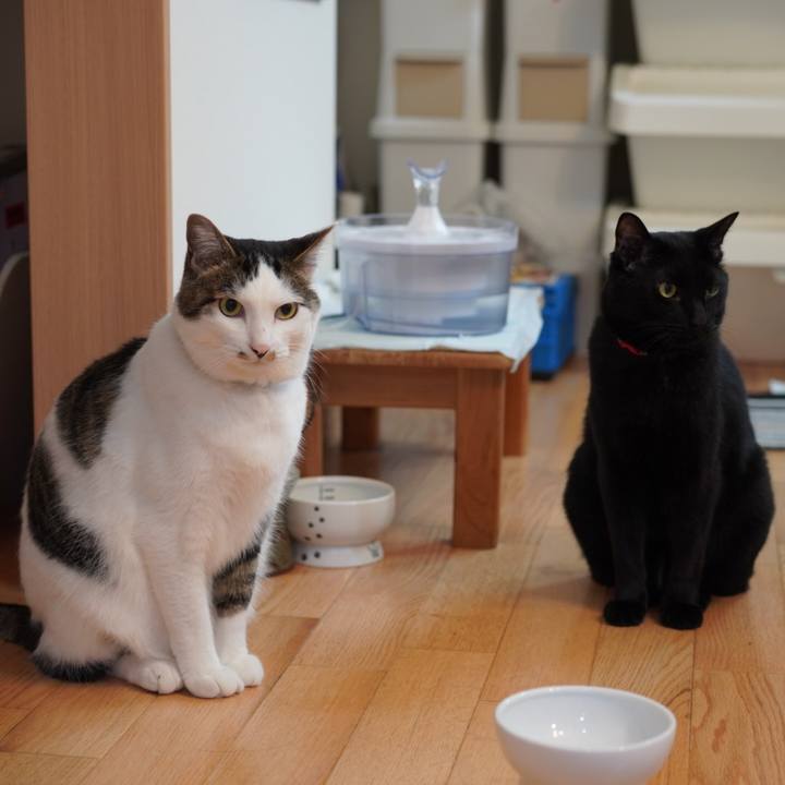 A5fd4d6e d657 4421 a347 04c21b38da58 1621247754881