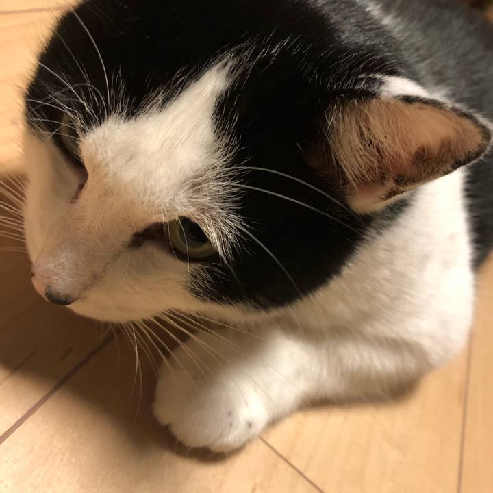 A5fd7be1 9efa 4179 b3bd 463d3e0a5d46 1576318784058