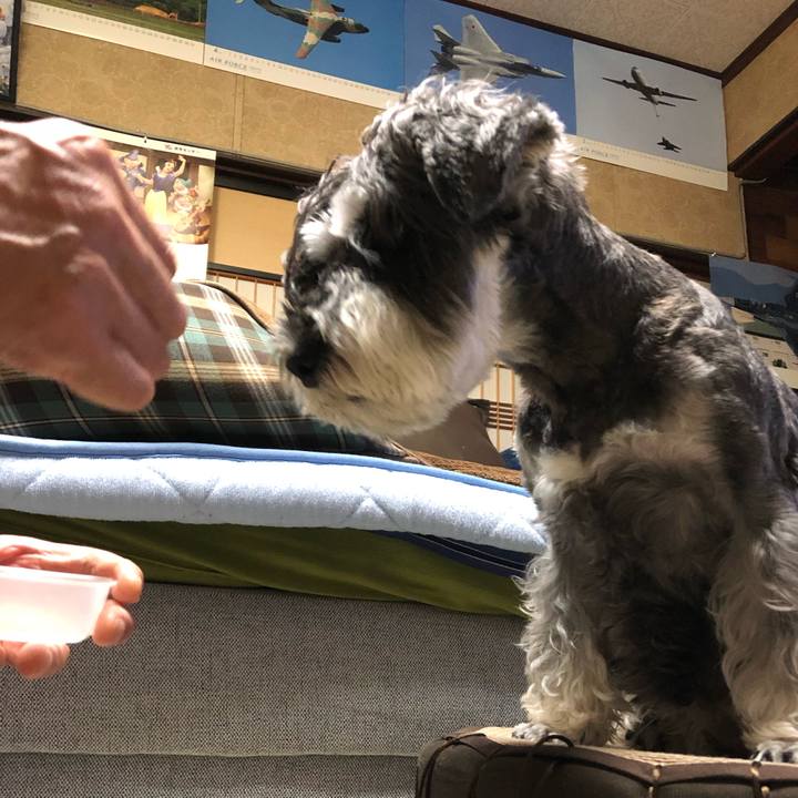 A5fd80be 0f18 431f 920c b33904b05cc9 1662121402188