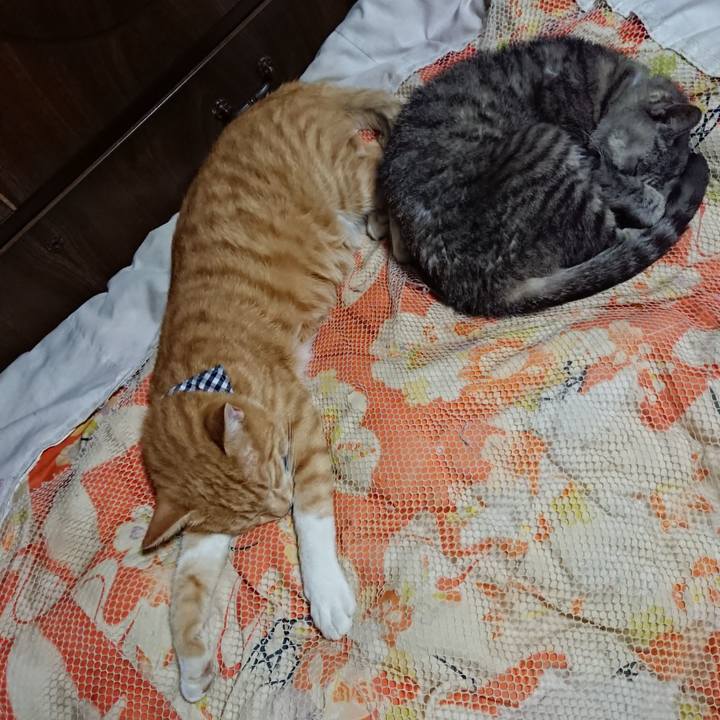 A5fd964d ab9b 4891 8a68 21c24deef410 1569158032318