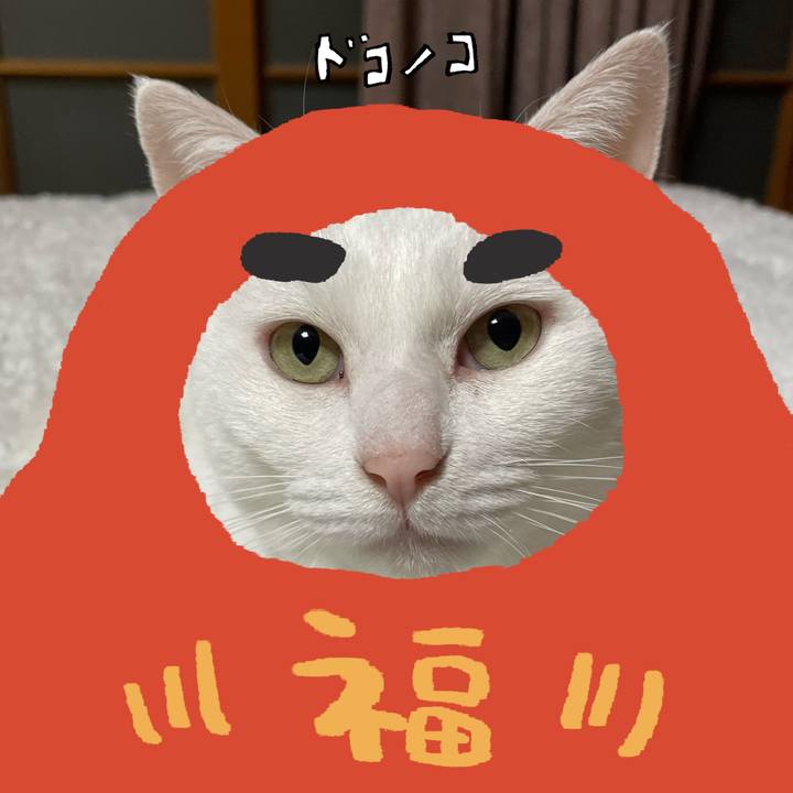 A5fdaa4c 2a9a 4559 b167 6c81ec909d6a 1771995829142