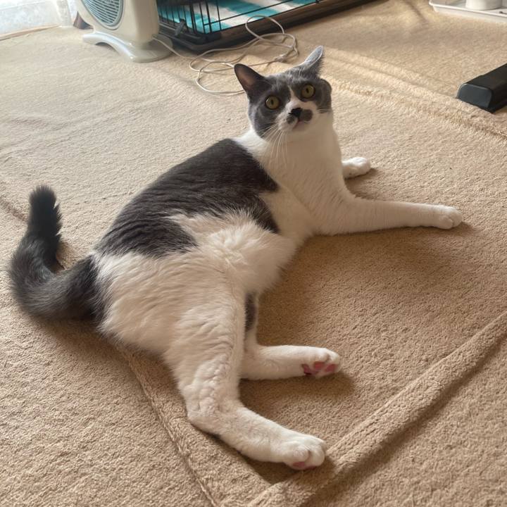 A5fdb482 9060 4c83 8e0c d0a35bcdb371 1699143272087