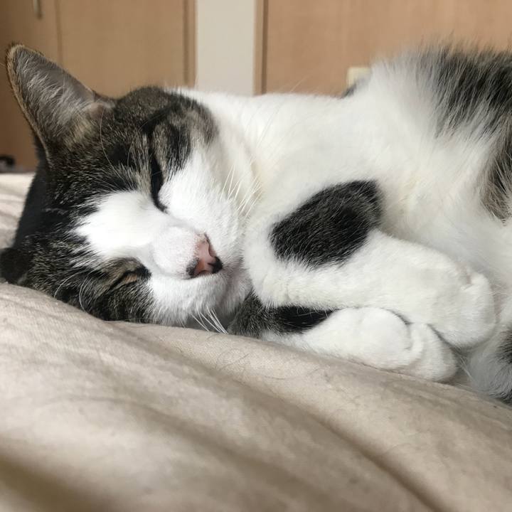 A5fdef01 d6ef 4262 942d 1d79cdf71640 1568858457307