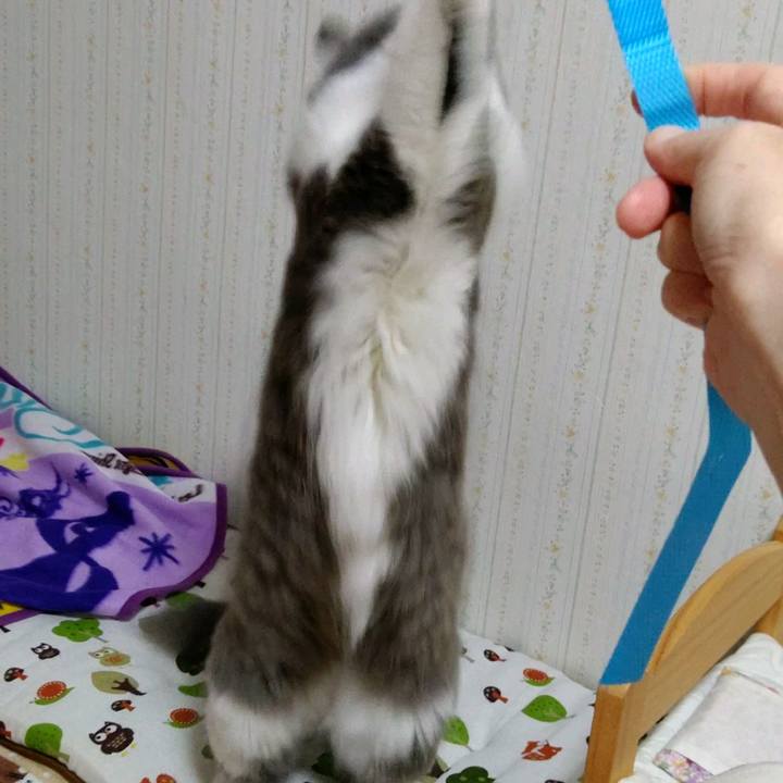 A5fe0048 2bc9 45c3 9e9c c02e4b3e853d 1602924934433