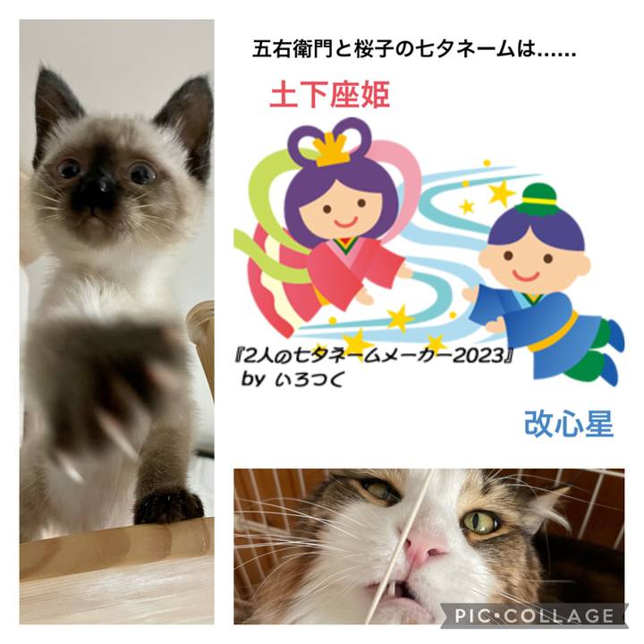 A5fe0a14 b2b4 4dfd b4dc 574dabc98588 1688724404493