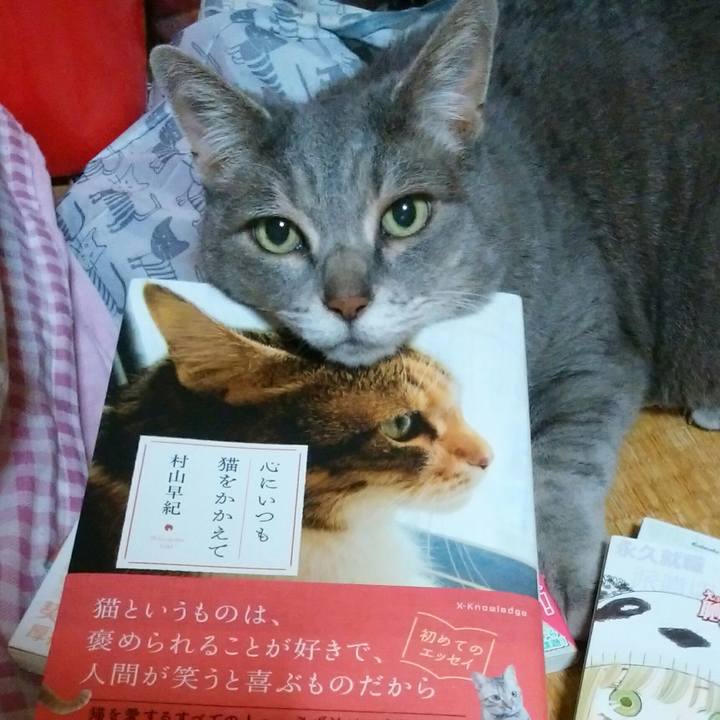 A5fe3d8b 3eab 44aa a844 87ab35daf3bb 1591105654363