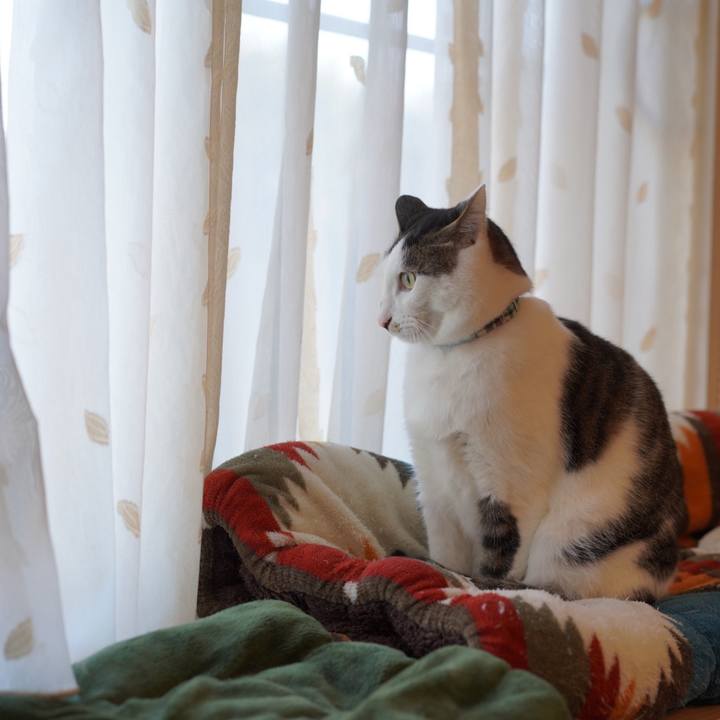 A5fe6ccd 5c64 4b08 9e59 e551b06e6f3d 1578267677069