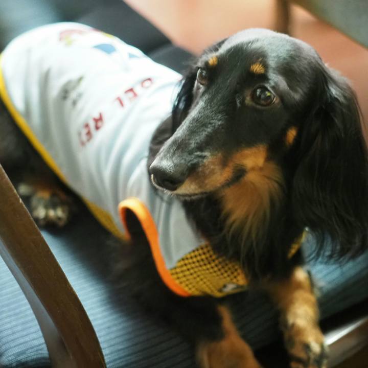 A5fea2fb 6fa9 40f3 82b7 21ff84b14707 1565504729916