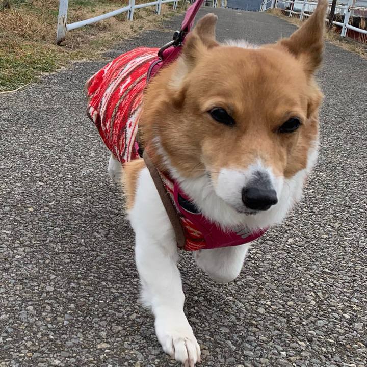 A5ff077d 39c4 4c0c 9a80 d62a20215968 1704939627605