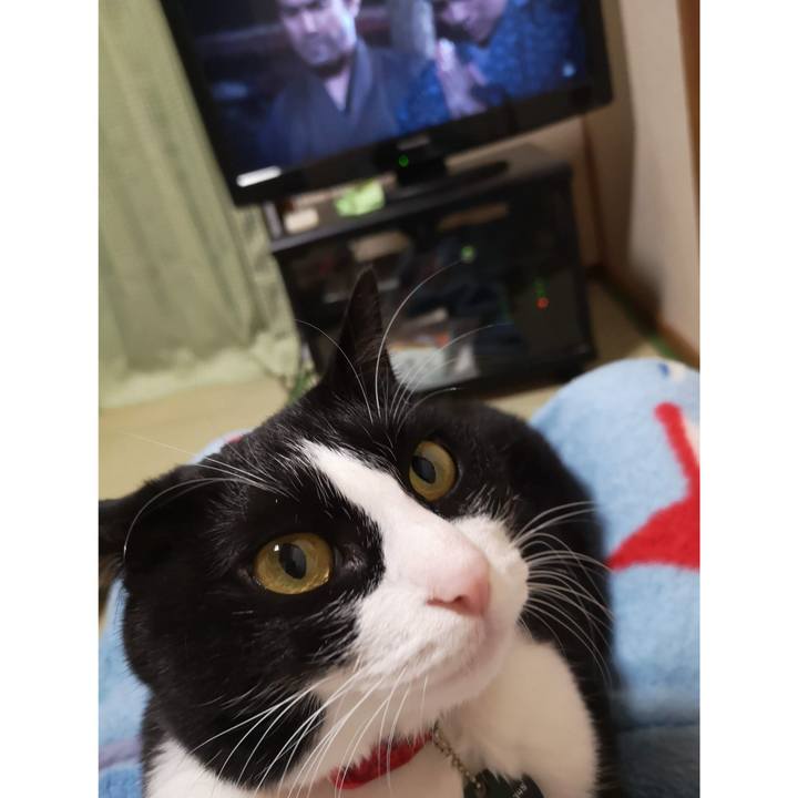 A5ff1bb5 dd99 43cd b6ca 489bfd3b58cf 1668743323448