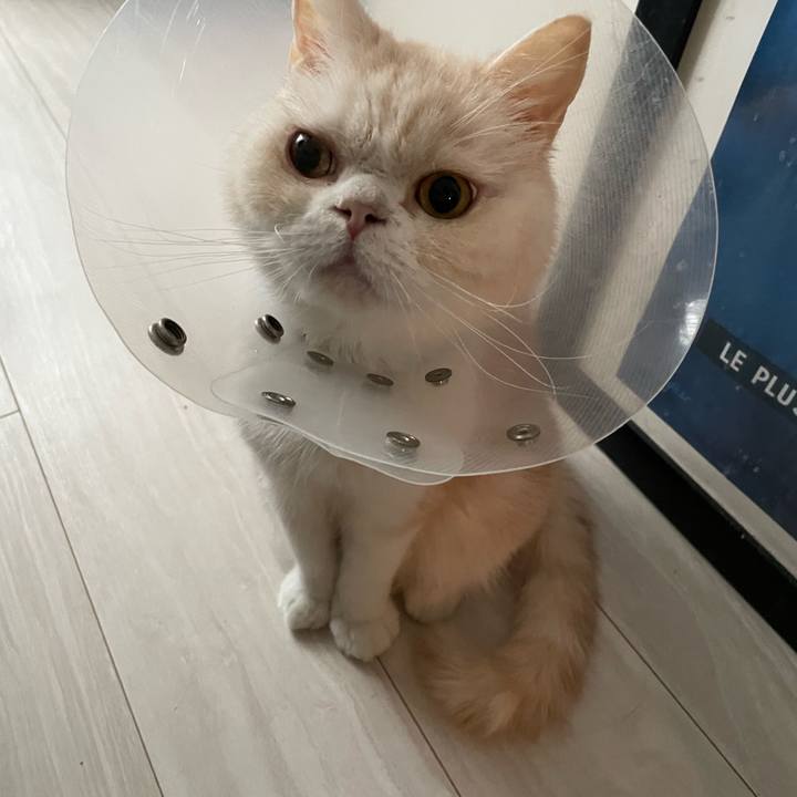 A5ff1e91 5b45 4a3b bfa4 e66ce71528f8 1760754703250