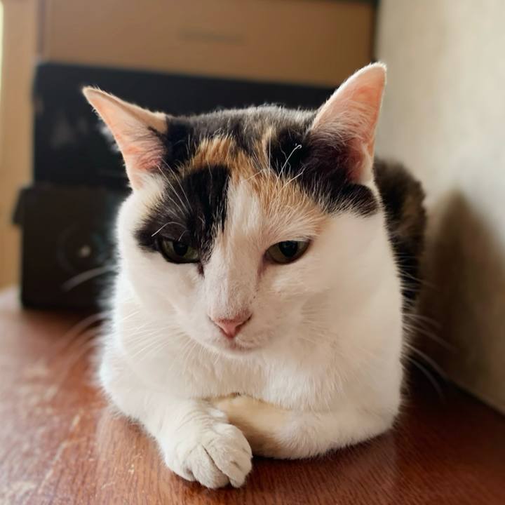 A5ff59e2 6f75 4db5 857a b7992819621f 1597544161082