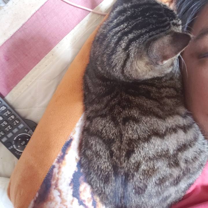 A5ff61fe b164 4b74 8292 b2c3be870631 1542875410767